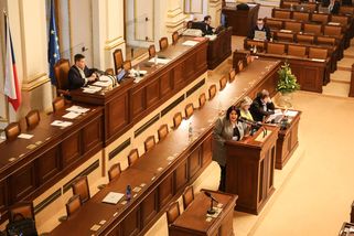 „Nové dno, dobytek, pátá cenová.“ Politici odsoudi...